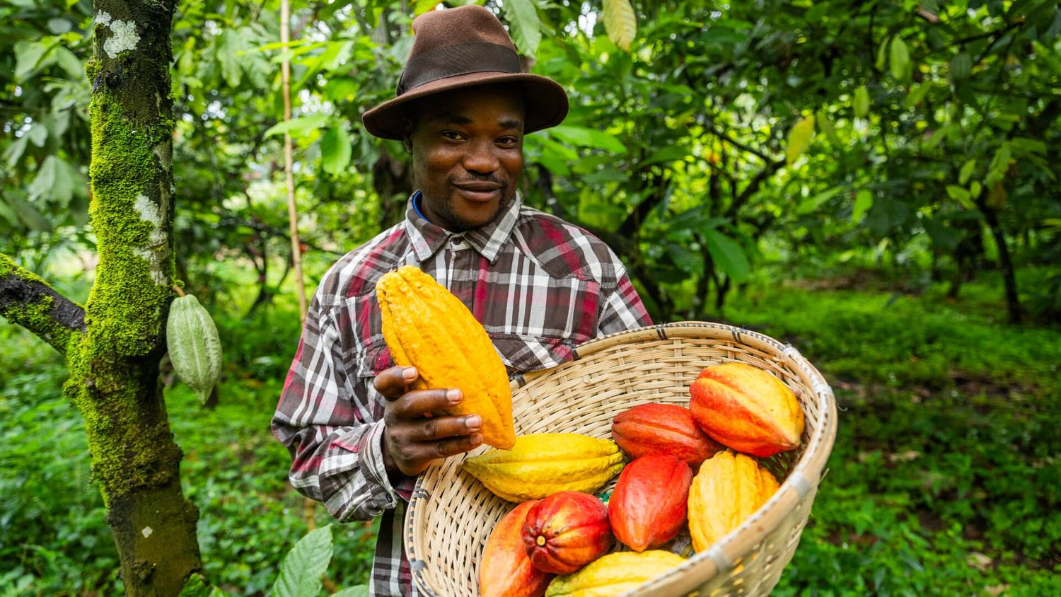 To organic or not to organic