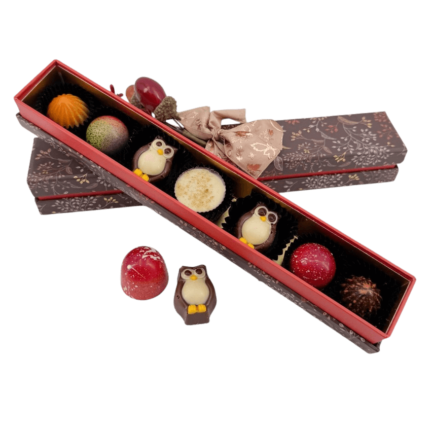 Autumn whispers pralines 105g 5407008478421 The Belgian Chocolate Makers