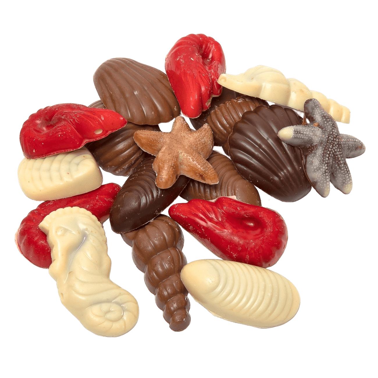 Chocolate sea shells 150g 5407008475796 The Belgian Chocolate Makers