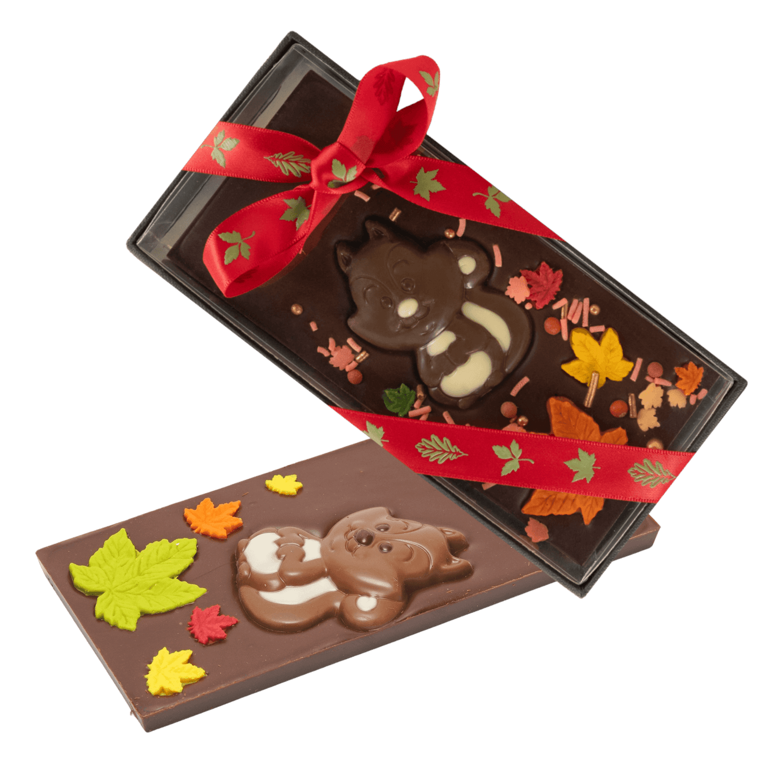 Dark chocolate squirrel bar 125g 5407008476786 The Belgian Chocolate Makers
