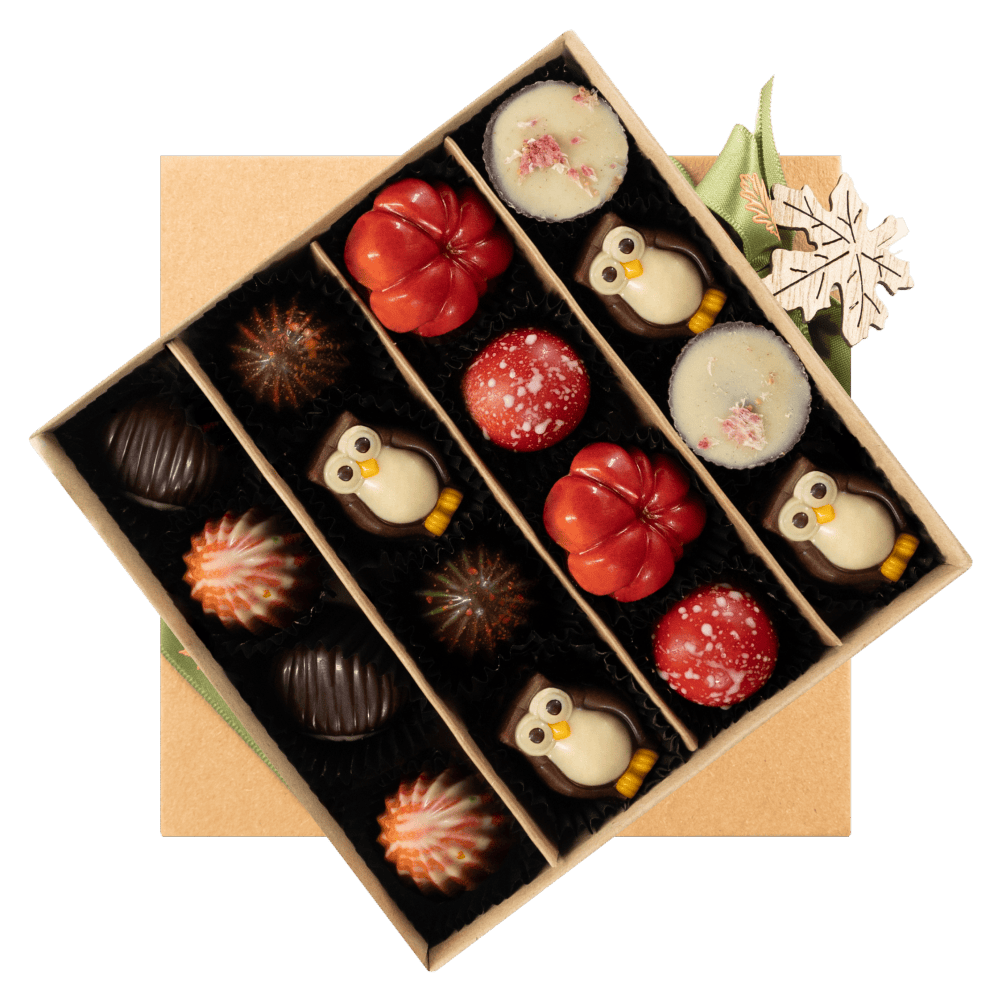 Mix of autumn pralines in a brown gift box 5407008474317 The Belgian Chocolate Makers