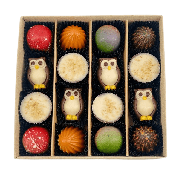 Mix of autumn pralines in a dark brown gift box 5407008477554 The Belgian Chocolate Makers