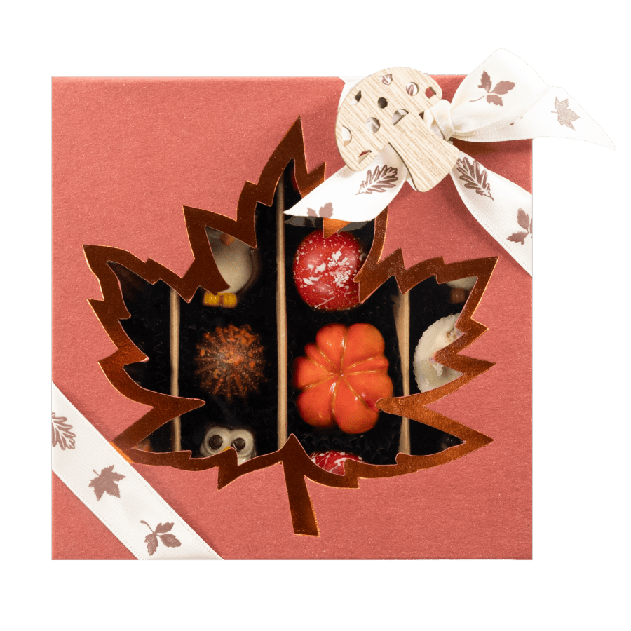 Mix of autumn pralines in a red gift box 5407008477561 The Belgian Chocolate Makers