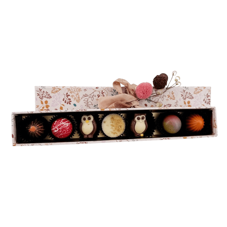 Warm shadow pralines 105g 5407008478469 The Belgian Chocolate Makers