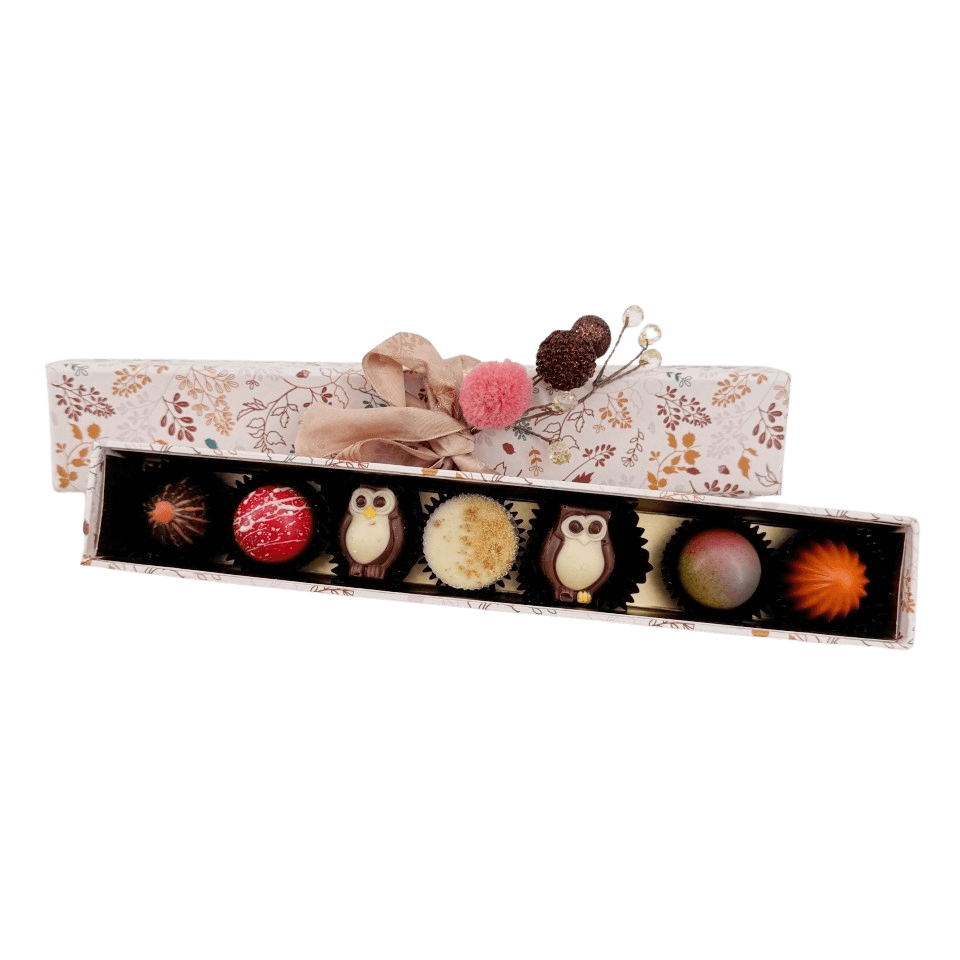 Warm shadow pralines 105g 5407008478469 The Belgian Chocolate Makers