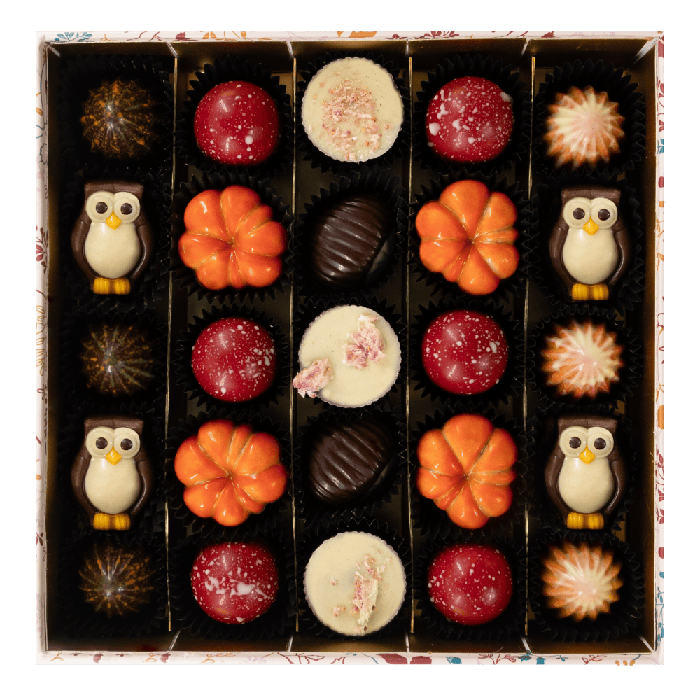 Warm shadow pralines 375g 5407008478476 The Belgian Chocolate Makers