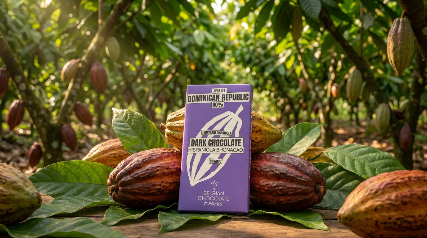 Dominican Republic 80% Dark Chocolate: Brussels Craft