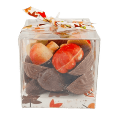 Autumn fruits in chocolate 5407008477653 The Belgian Chocolate Makers