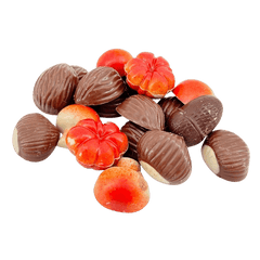 Autumn fruits in chocolate 5407008477653 The Belgian Chocolate Makers