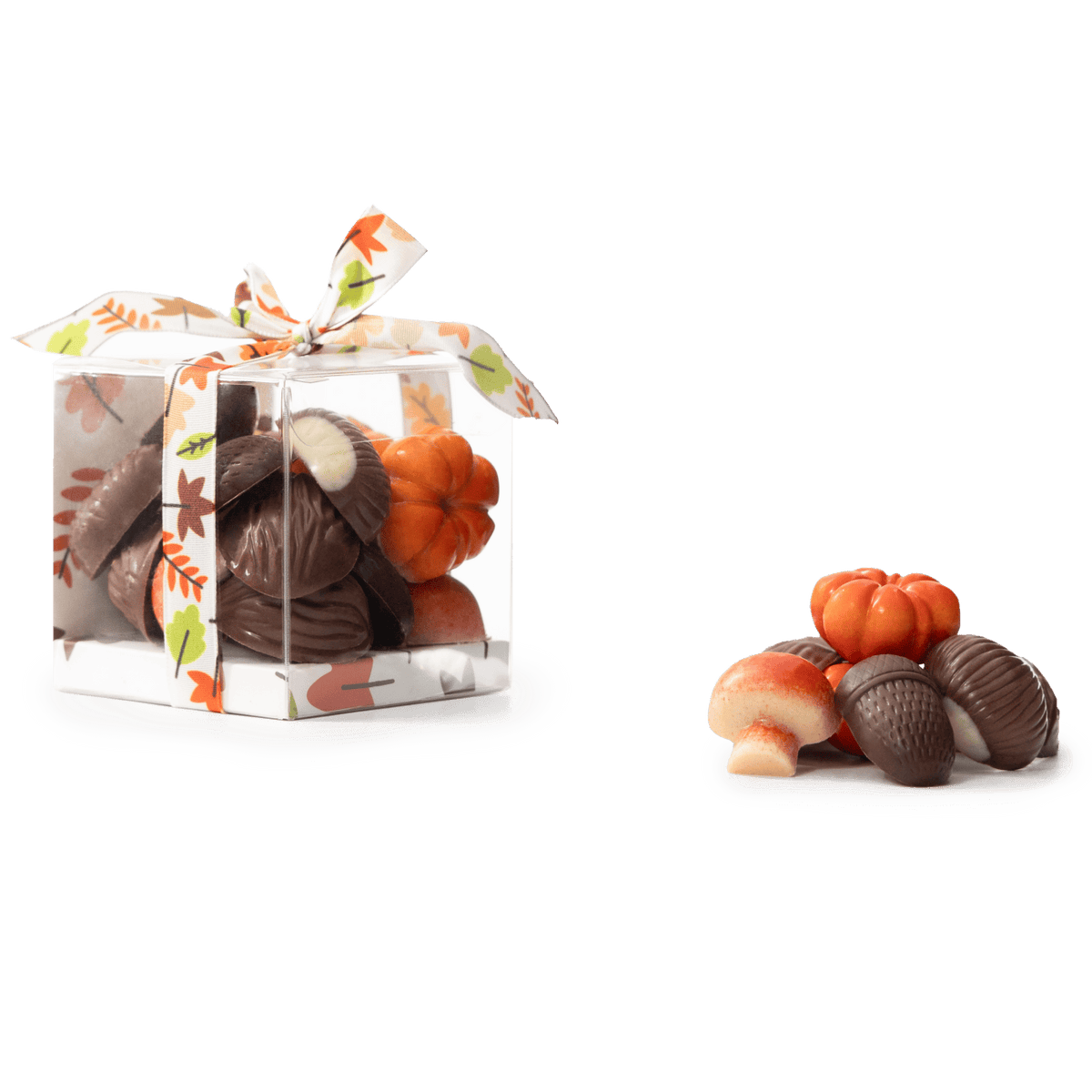 Autumn fruits in chocolate 5407008477653 The Belgian Chocolate Makers