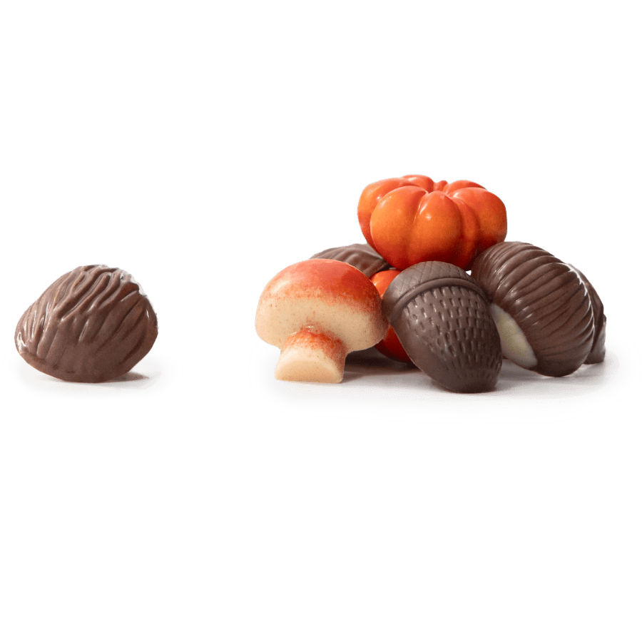Autumn fruits in chocolate 5407008477653 The Belgian Chocolate Makers