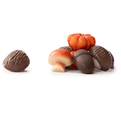 Autumn fruits in chocolate 5407008477653 The Belgian Chocolate Makers
