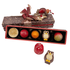 Autumn whispers pralines 65g 5407008478438 The Belgian Chocolate Makers