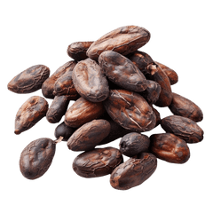 Bag of fresh cacao beans The Belgian Chocolate Makers