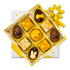 Chick box of 9 Easter pralines 135g 5407008473143 The Belgian Chocolate Makers