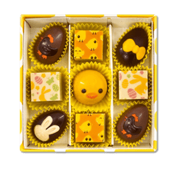 Chick box of 9 Easter pralines 135g 5407008473143 The Belgian Chocolate Makers