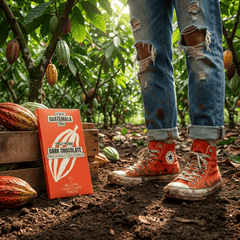 Chocolate bar origin Guatemala Finca Paso Cocodrilo 75% 5407008476168 The Belgian Chocolate Makers