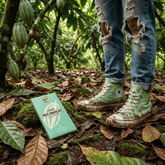 Chocolate bar origin Haïti Cap Haïtien 44% 5407008479534 The Belgian Chocolate Makers