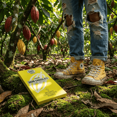 Chocolate bar origin Haïti Cap Haïtien 62% 5407008479541 The Belgian Chocolate Makers