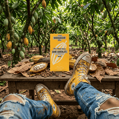 Chocolate bar origin Madagascar Sambirano 64% 5407008479527 The Belgian Chocolate Makers