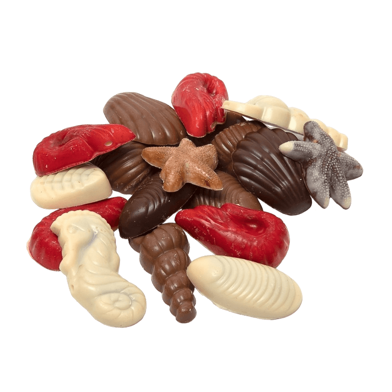 Chocolate sea shells 150g 5407008475796 The Belgian Chocolate Makers