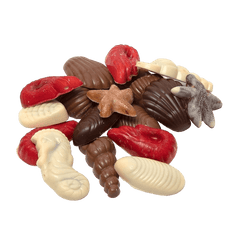 Chocolate sea shells 150g 5407008475796 The Belgian Chocolate Makers