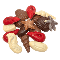 Chocolate sea shells 150g 5407008475796 The Belgian Chocolate Makers