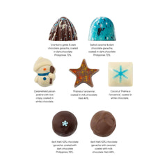 Christmas "star night" box 9 pralines and truffles 135g 5407008470036 The Belgian Chocolate Makers
