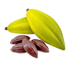 Dark chocolate cacao pod with pralines 100g 5407008478940 The Belgian Chocolate Makers