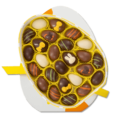 Eggbox of 25 Easter pralines 200g 5407008479589 The Belgian Chocolate Makers