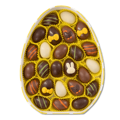 Eggbox of 25 Easter pralines 200g 5407008479589 The Belgian Chocolate Makers