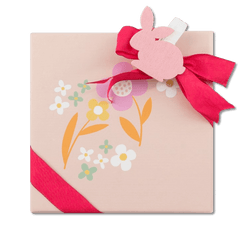 Looping box of 9 Easter pralines 135g 5407008478810 The Belgian Chocolate Makers