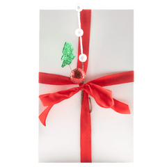 Milk chocolate Christmas advent calendar bar 200g 5407008470050 The Belgian Chocolate Makers