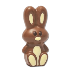 Milk chocolate Easter bunny 150g 5407008472030 The Belgian Chocolate Makers