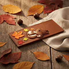 Milk chocolate squirrel bar 125g 5407008476793 The Belgian Chocolate Makers