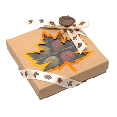 Mix of autumn Belgian truffles in a brown gift box 5407008474324 The Belgian Chocolate Makers