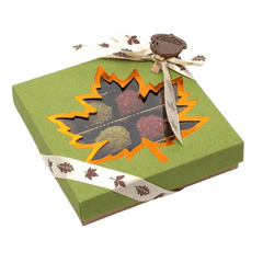 Mix of autumn Belgian truffles in a green gift box 5407008477615 The Belgian Chocolate Makers