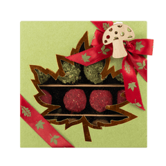 Mix of autumn Belgian truffles in a green gift box 5407008477615 The Belgian Chocolate Makers