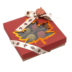 Mix of autumn Belgian truffles in a red gift box 5407008477608 The Belgian Chocolate Makers