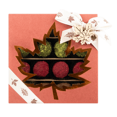 Mix of autumn Belgian truffles in a red gift box 5407008477608 The Belgian Chocolate Makers