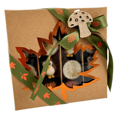 Mix of autumn pralines in a brown gift box 5407008474317 The Belgian Chocolate Makers