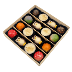 Mix of autumn pralines in a brown gift box 5407008474317 The Belgian Chocolate Makers