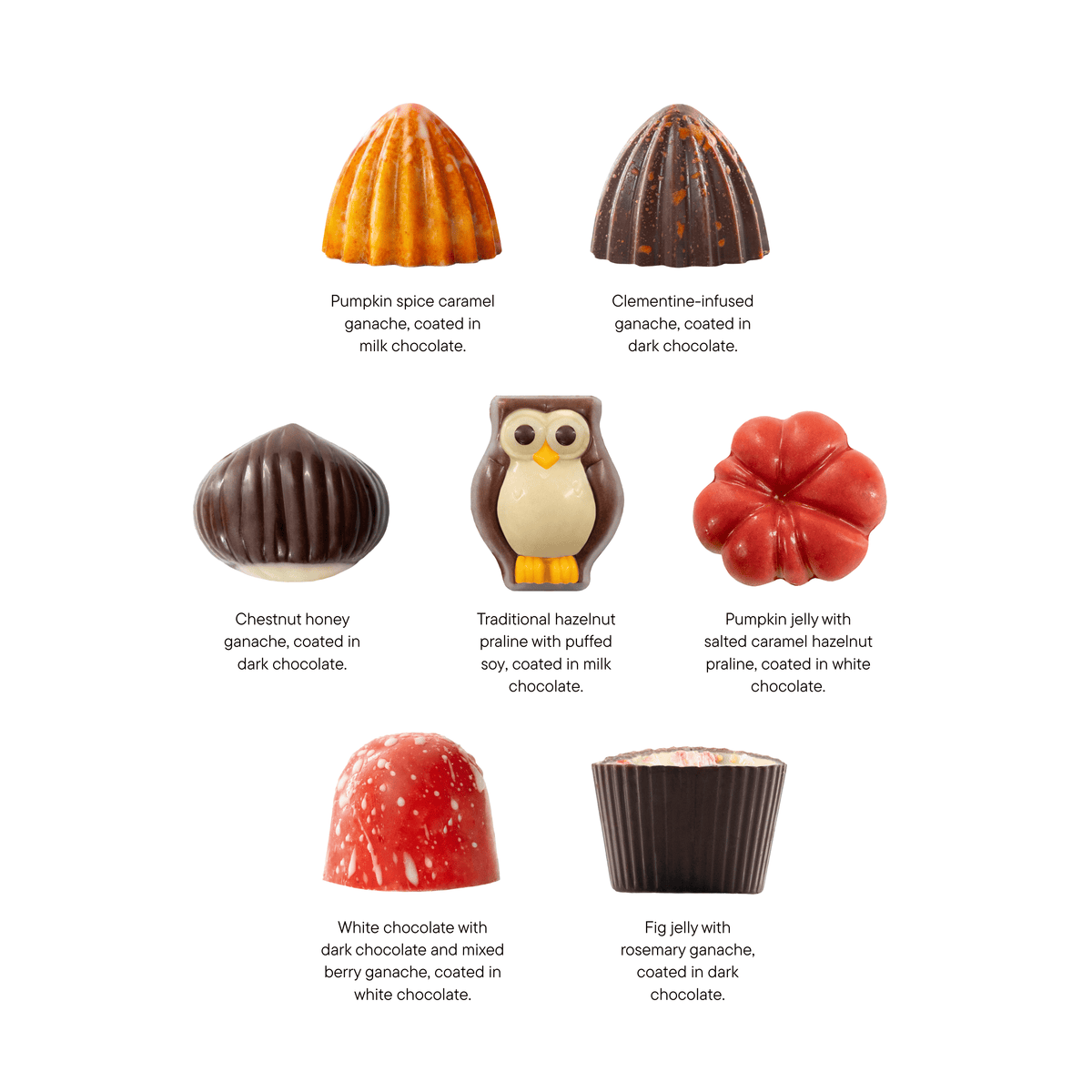 Mix of autumn pralines in a brown gift box 5407008474317 The Belgian Chocolate Makers