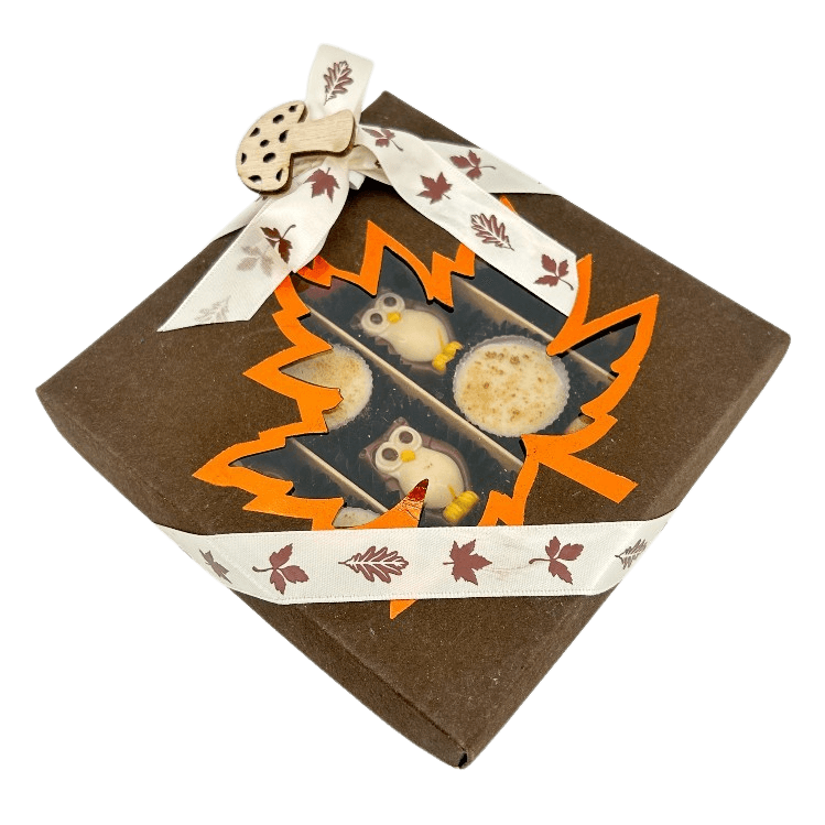 Mix of autumn pralines in a dark brown gift box 5407008477554 The Belgian Chocolate Makers