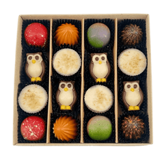Mix of autumn pralines in a dark brown gift box 5407008477554 The Belgian Chocolate Makers