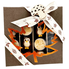 Mix of autumn pralines in a dark brown gift box 5407008477554 The Belgian Chocolate Makers