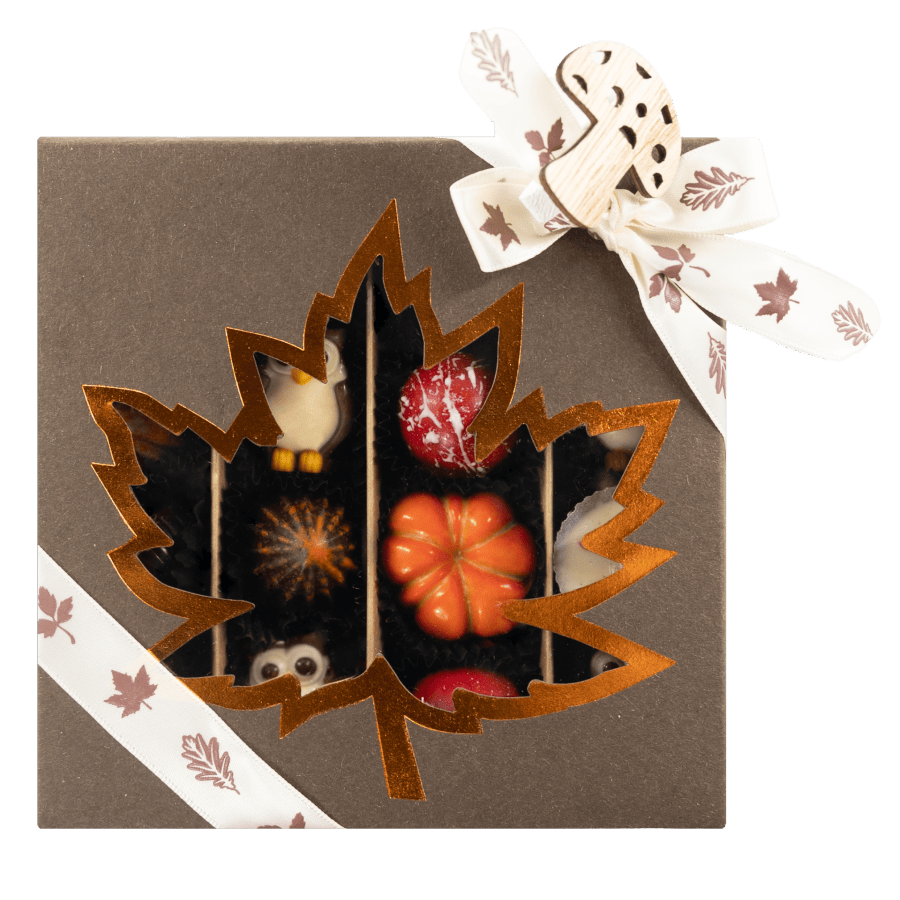 Mix of autumn pralines in a dark brown gift box 5407008477554 The Belgian Chocolate Makers