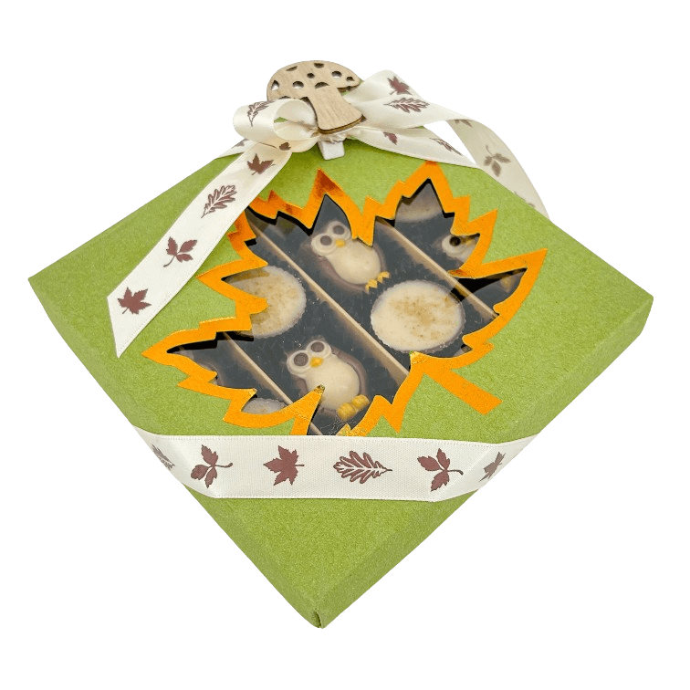 Mix of autumn pralines in a green gift box 5407008477578 The Belgian Chocolate Makers