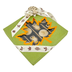 Mix of autumn pralines in a green gift box 5407008477578 The Belgian Chocolate Makers