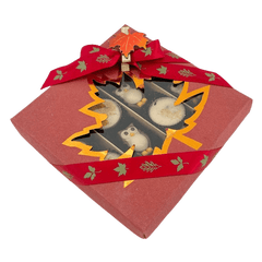 Mix of autumn pralines in a red gift box 5407008477561 The Belgian Chocolate Makers